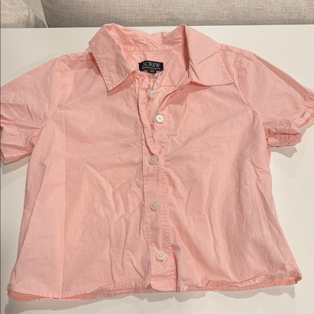 J. Crew Women’s Pink Button-Up Shirt